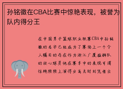 孙铭徽在CBA比赛中惊艳表现，被誉为队内得分王